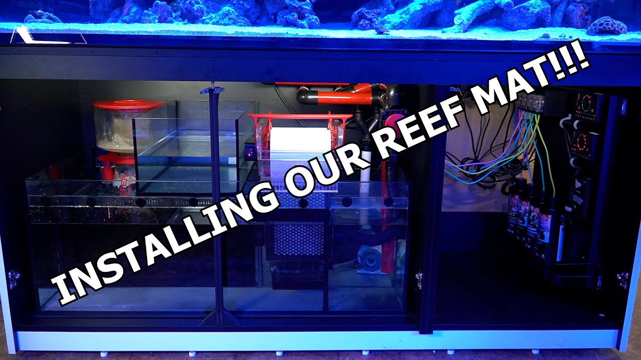 Redsea Reefer 750XXL G2 Display Aquarium. ReefMat 1200 and ReefDose 4 Installation.