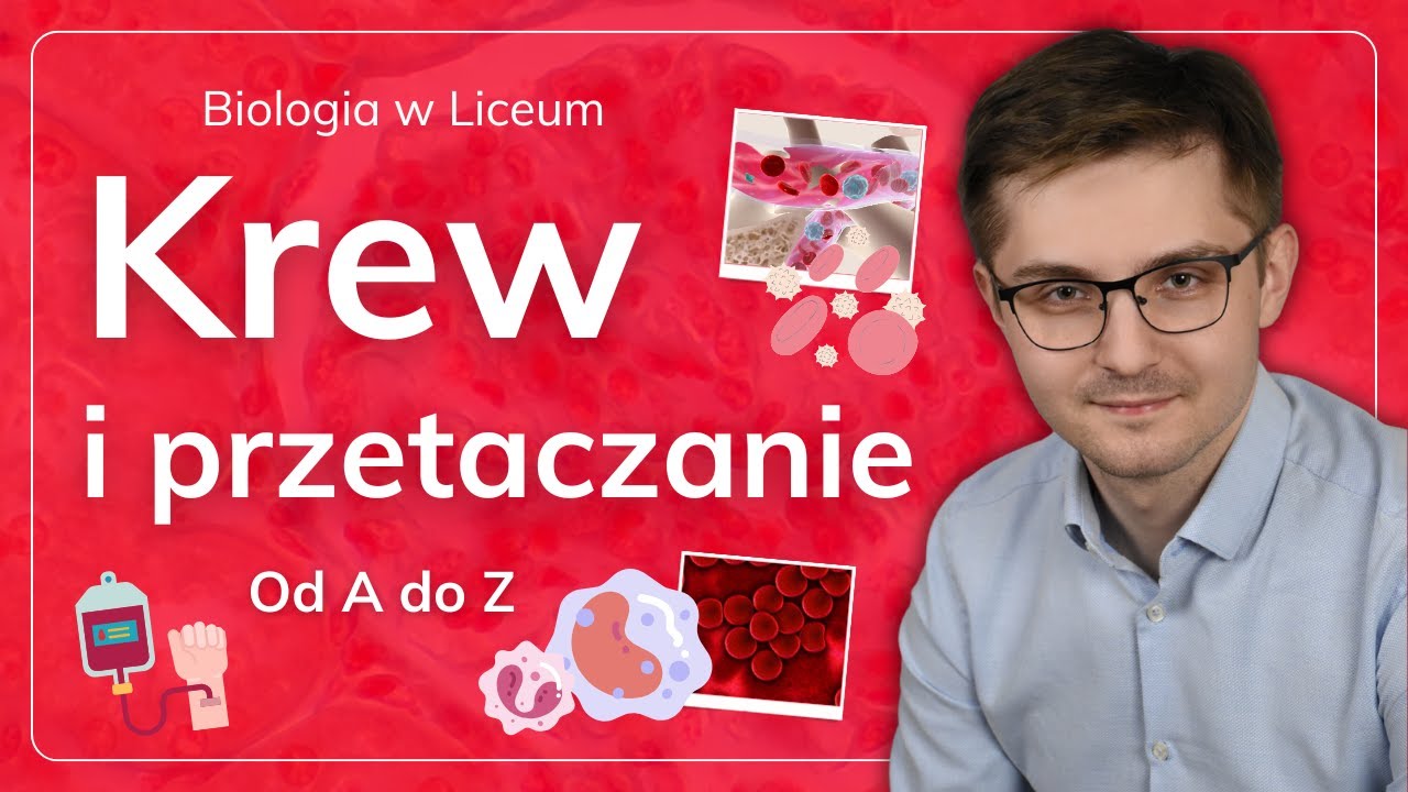 Krew i przetaczanie krwinek od A do Z