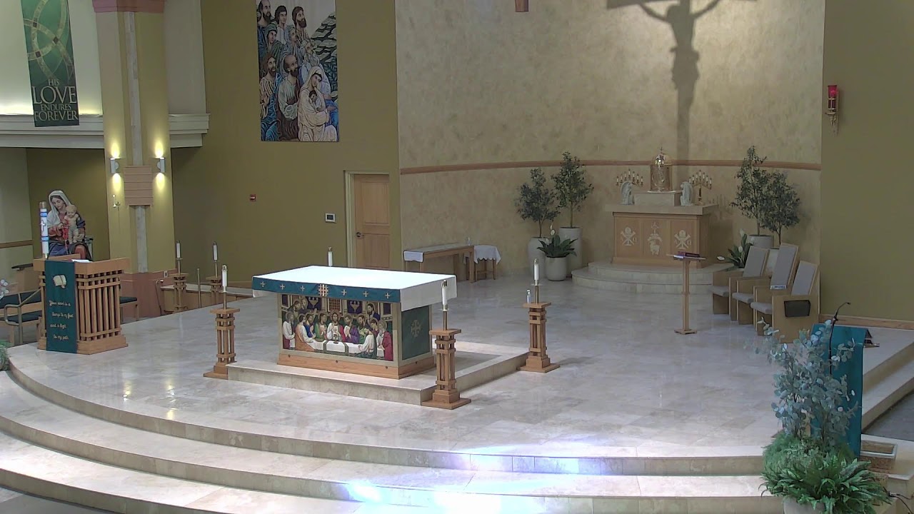 Divine Mercy - Daily Mass - Rosary 02/17/2026