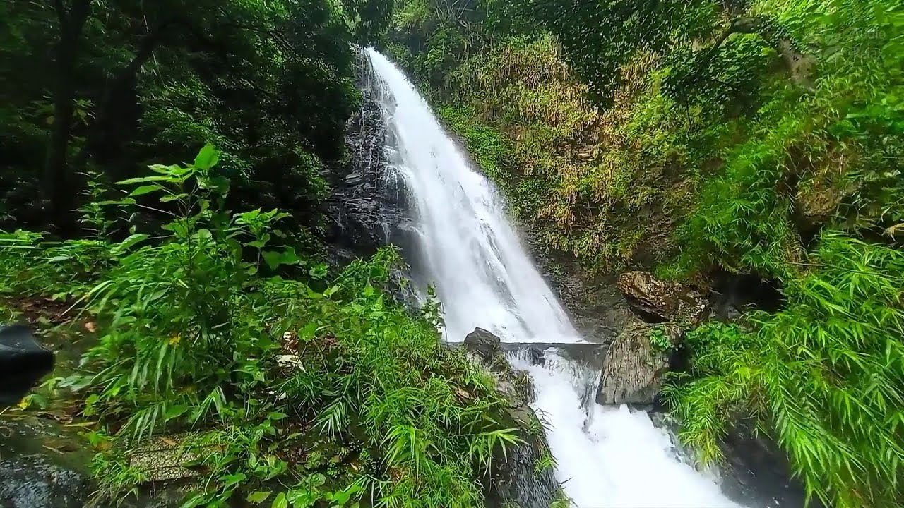 Majestic High Falls in Green Forest | 10 Hours of Relaxing Nature Sounds for Meditation