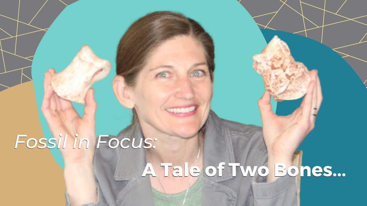 Fossil in Focus: A Tale of Two Bones