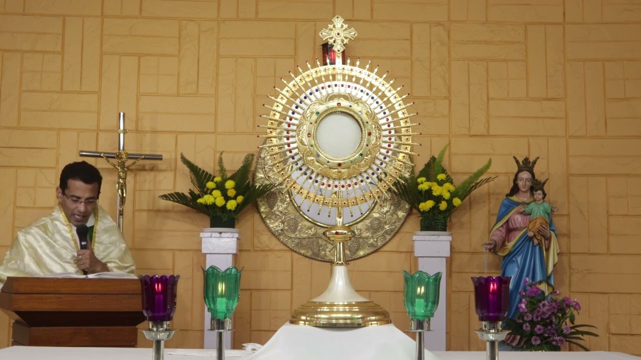 Eucharistic Adoration I SIN AGAINST THE HOLY SPIRIT I Nov 20 I 7 00PMIST I Epi 52