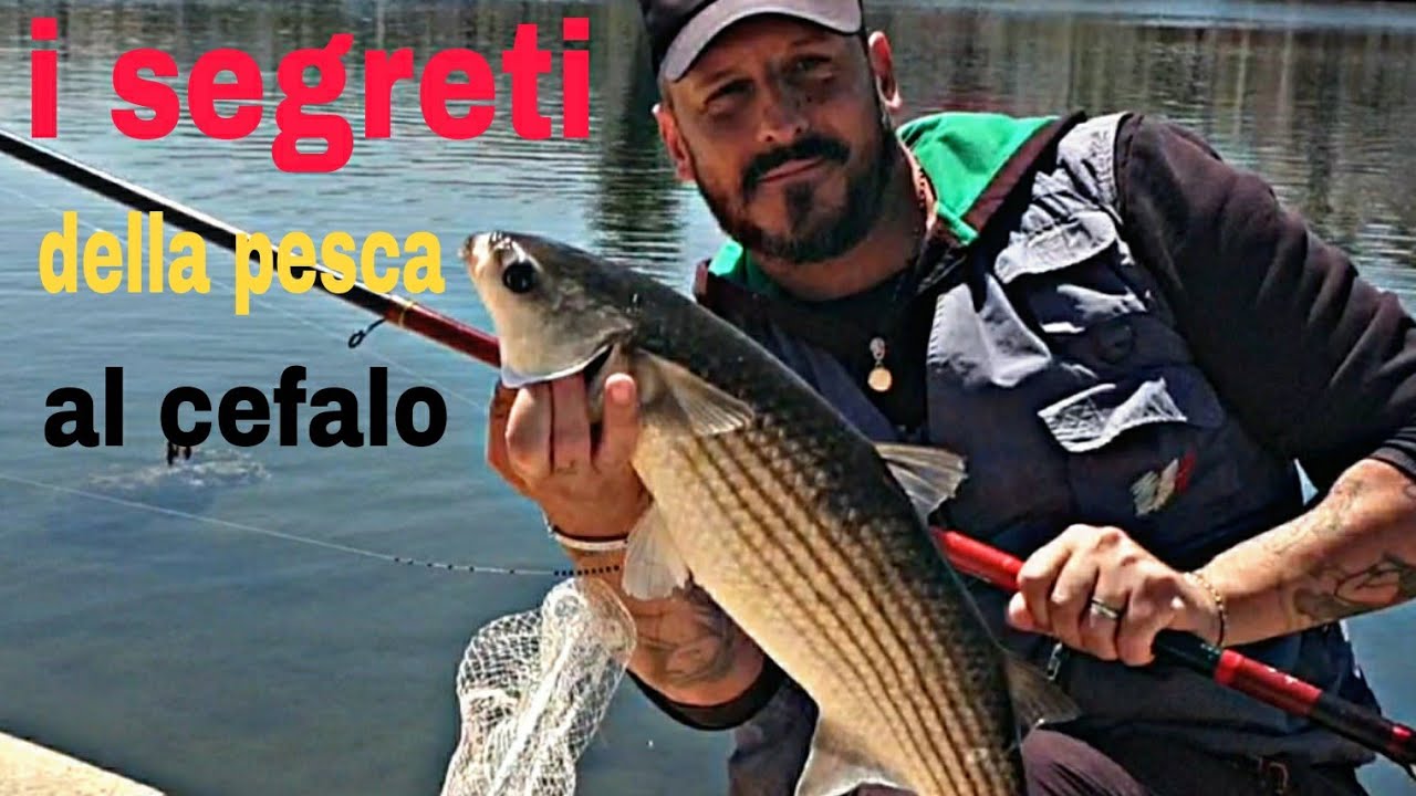 pesca con bolognese a cefali....tutto ciò che ce da sapere.....