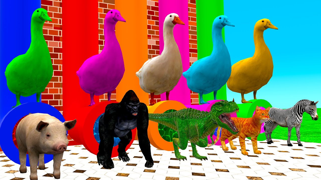 Wild Animals Surprise Gifts Pig Gorilla T-Rex Cat Zebra حيوانات برية وهدايا مفاجئة