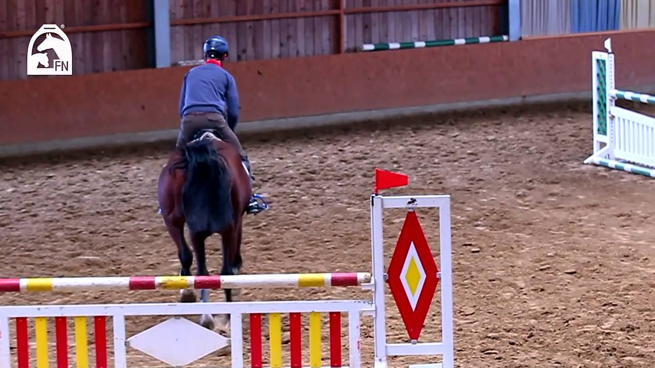Reitabzeichen 3