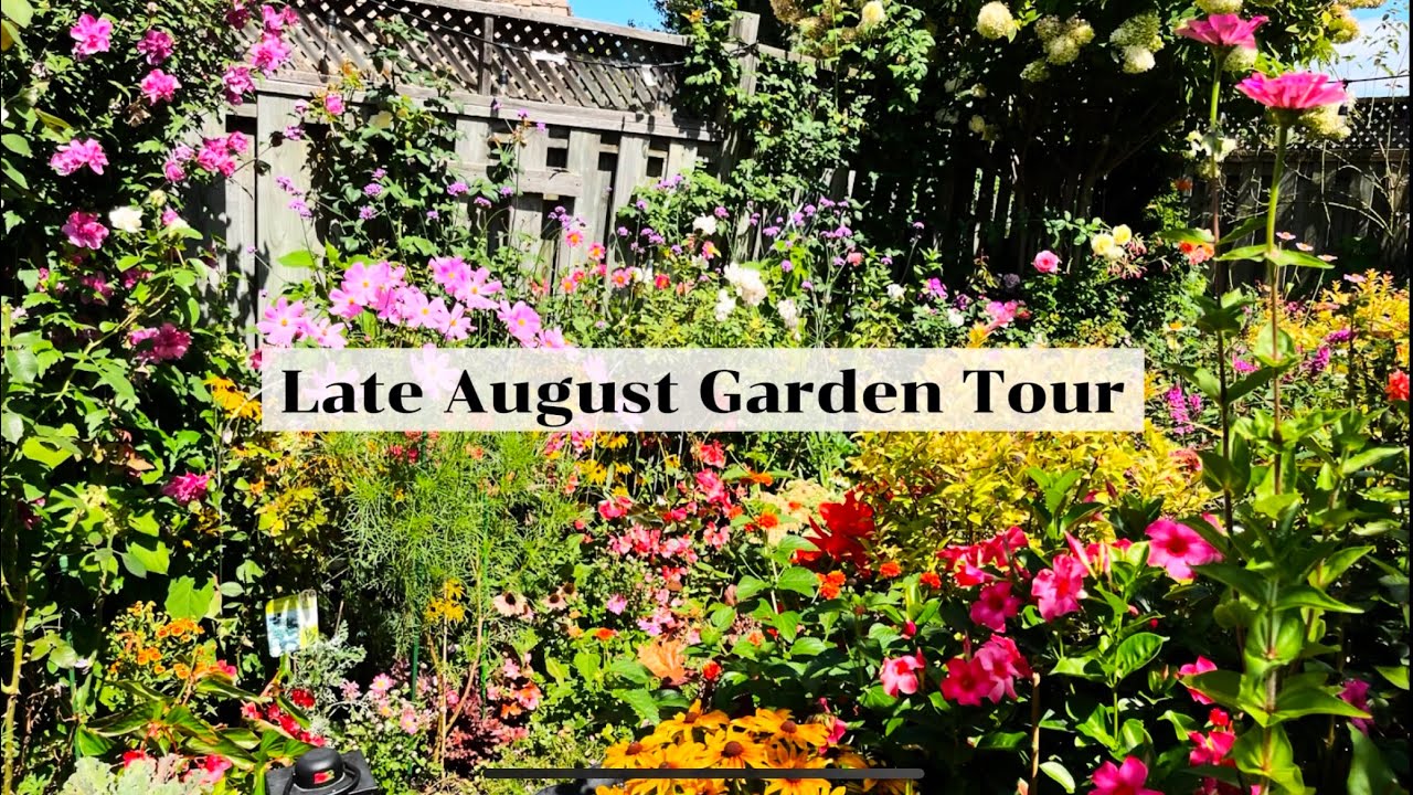 Late August Garden Tour🌸 Working on problem areas in the garden. New plants!
