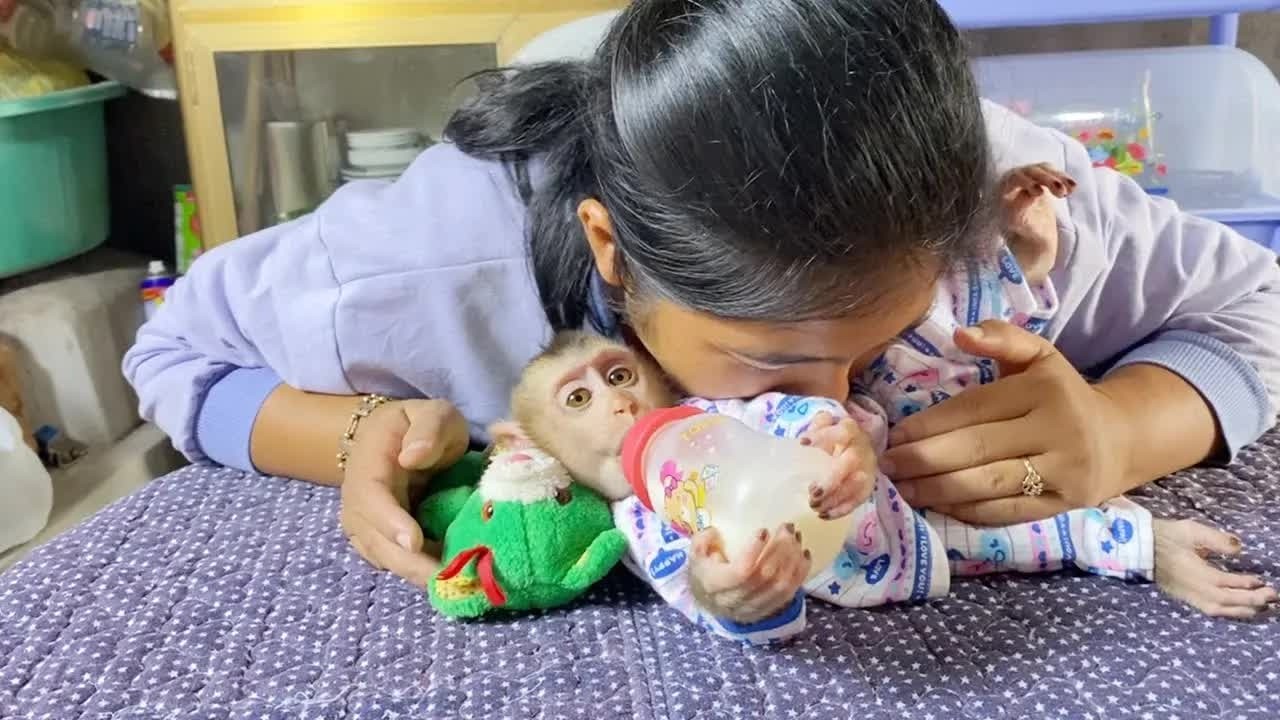 Gorgeous Baby Dam Sleeps Sweetly While Drinking Milk as Mom Gives a Loving Kiss