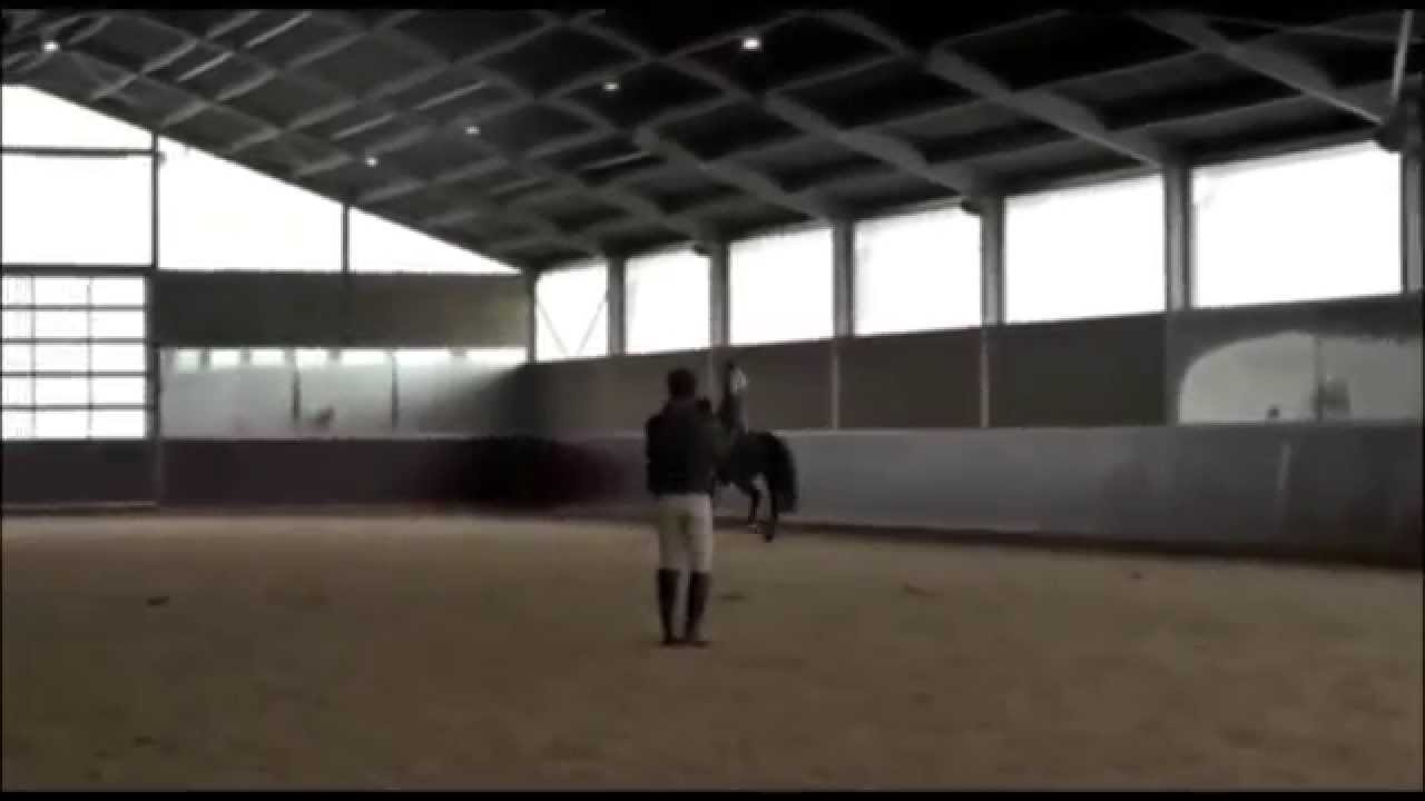 Dressage&Music - 'Diamond's tango' by D&M - Morgan Barbançon & Vitana