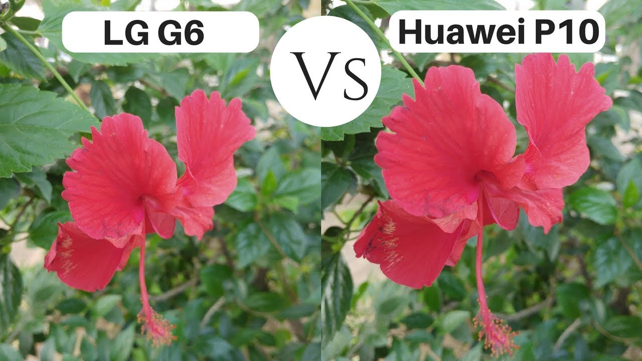 LG G6 Camera Vs Huawei P10 | Camera Comparison | Camera Test 2017 !!