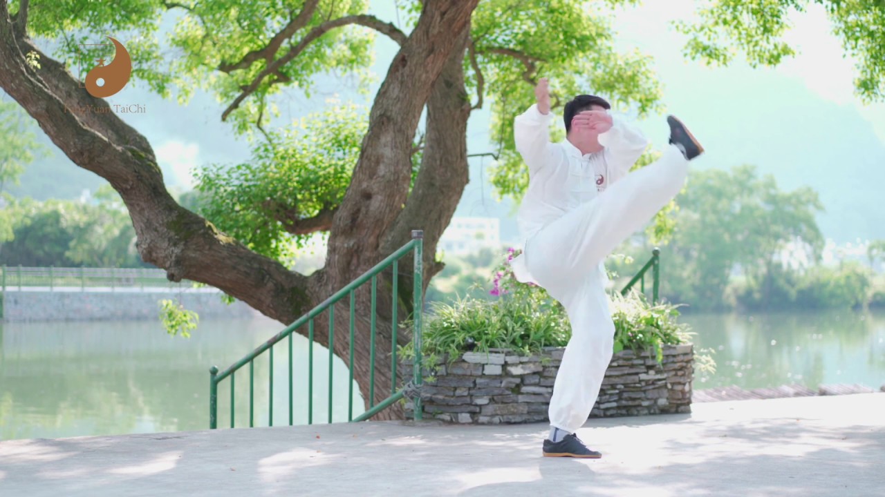 TaiChi For Level 2 Series / Chen Style TaiChi 74 Forms