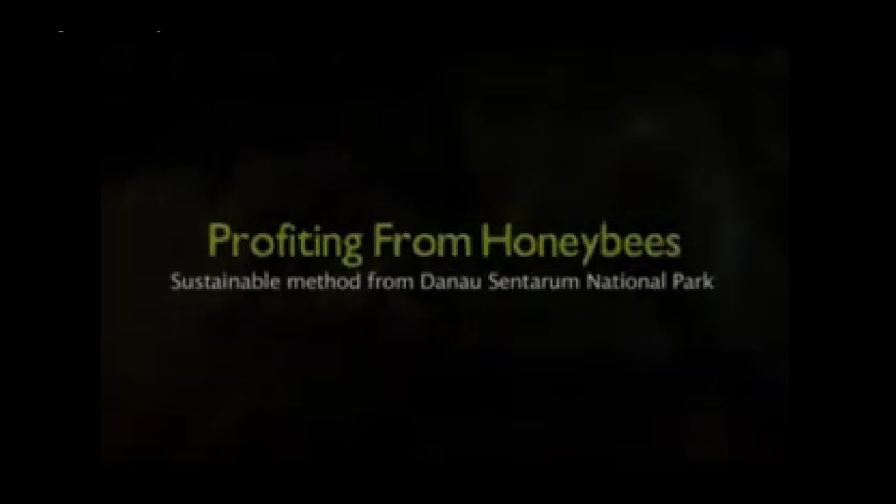 Profiting from Honey Bees ;Sustainable Method from Danau Sentarum National Park