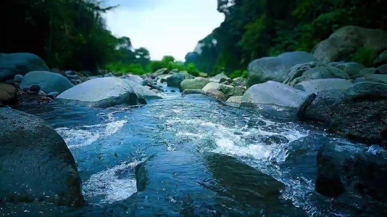 🍃 Quiet Night River ASMR Sounds for Deep Sleep, Relaxation & Calm Mind