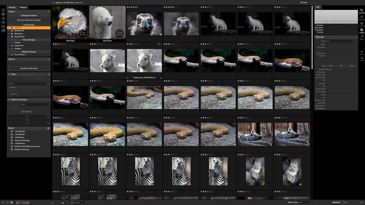 Mastering On1 Photo RAW 2018 - Episode 3: Cull & Organize