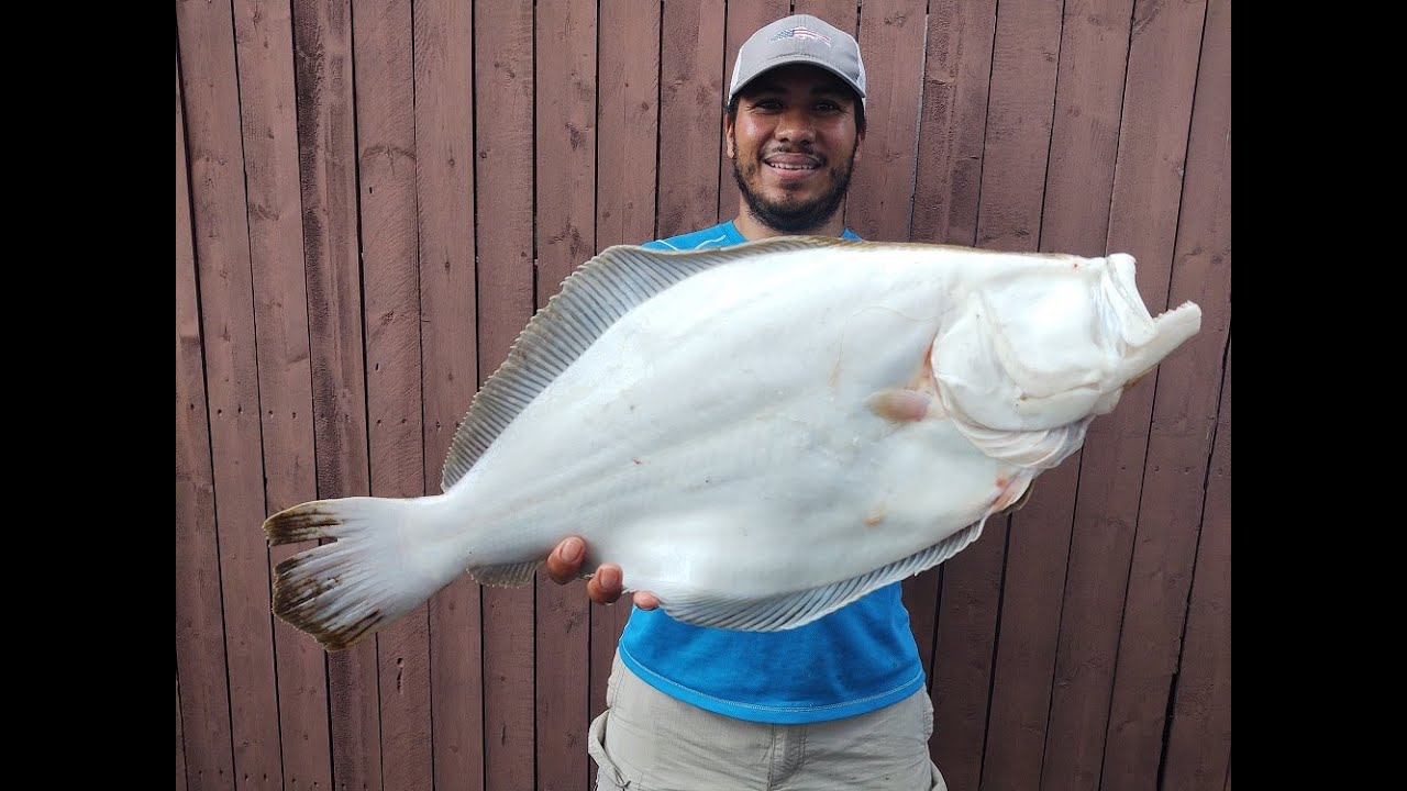Big Party Boat Fluke! Summer Flounder Fishing - Big Mohawk!