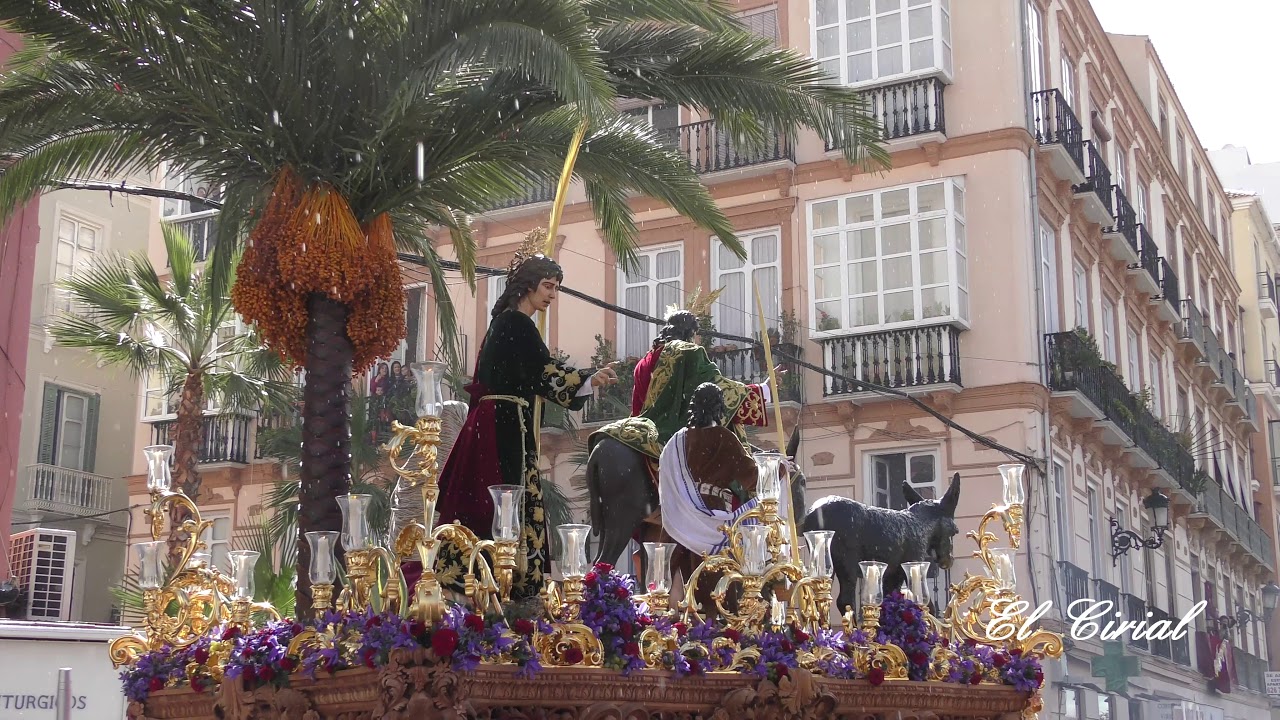 POLLINICA MALAGA 2018 