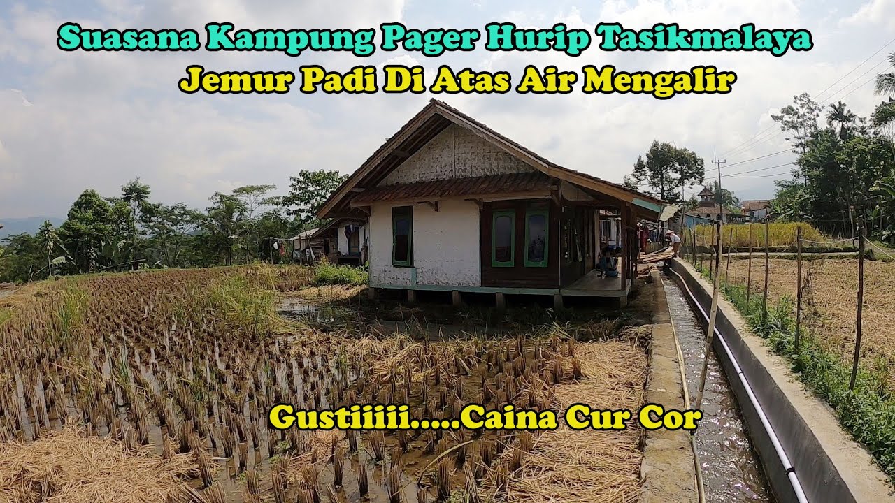 Suasana Kampung Pager Hurip Tasikmalaya..Caina Cur Cor..Matak Betah