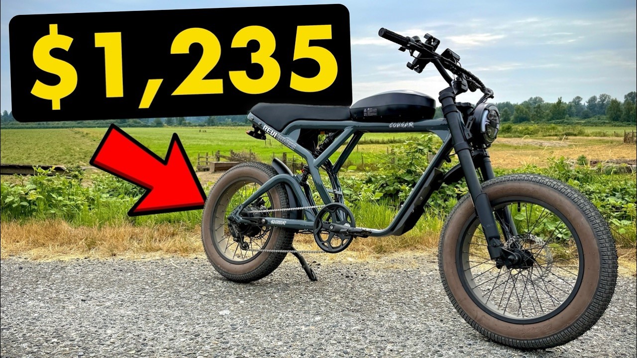 Expensive Ebikes Should be SCARED of the Revibikes Cougar!