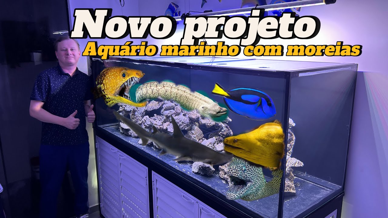 Novo projeto de aquário marinho com moreias do nosso amigo Joze