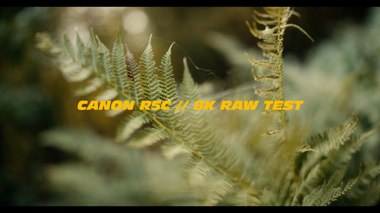 Canon R5C // 8K RAW Test