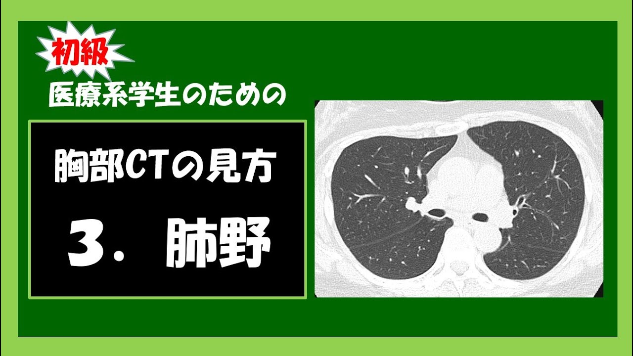 【医療系学生】初心者向け胸部CT ３. 肺野
