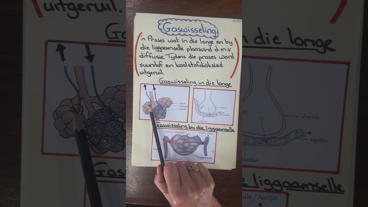 Gr.9 Die Respiratoriese stelsel (2)