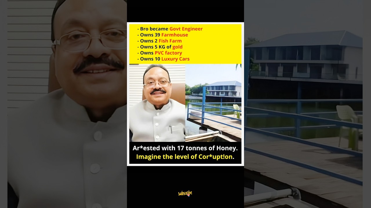 Engineer's Corrupt Empire: 17 Tonnes of Honey! #facts