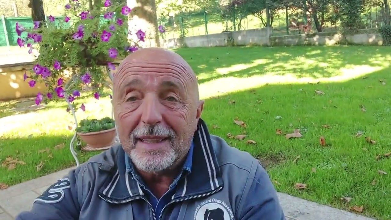 CANI DA GUARDIA - CHI SONO questi Cuccioloni che regalo?