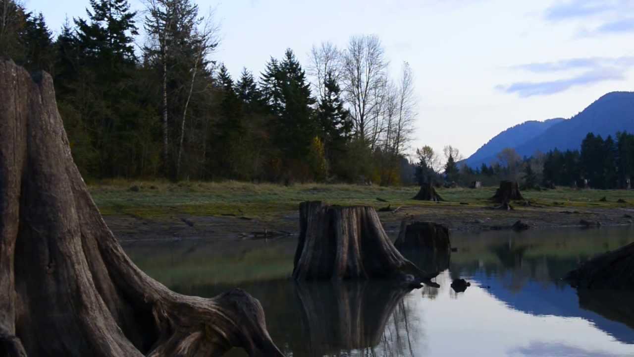 Alder Lake, Washington