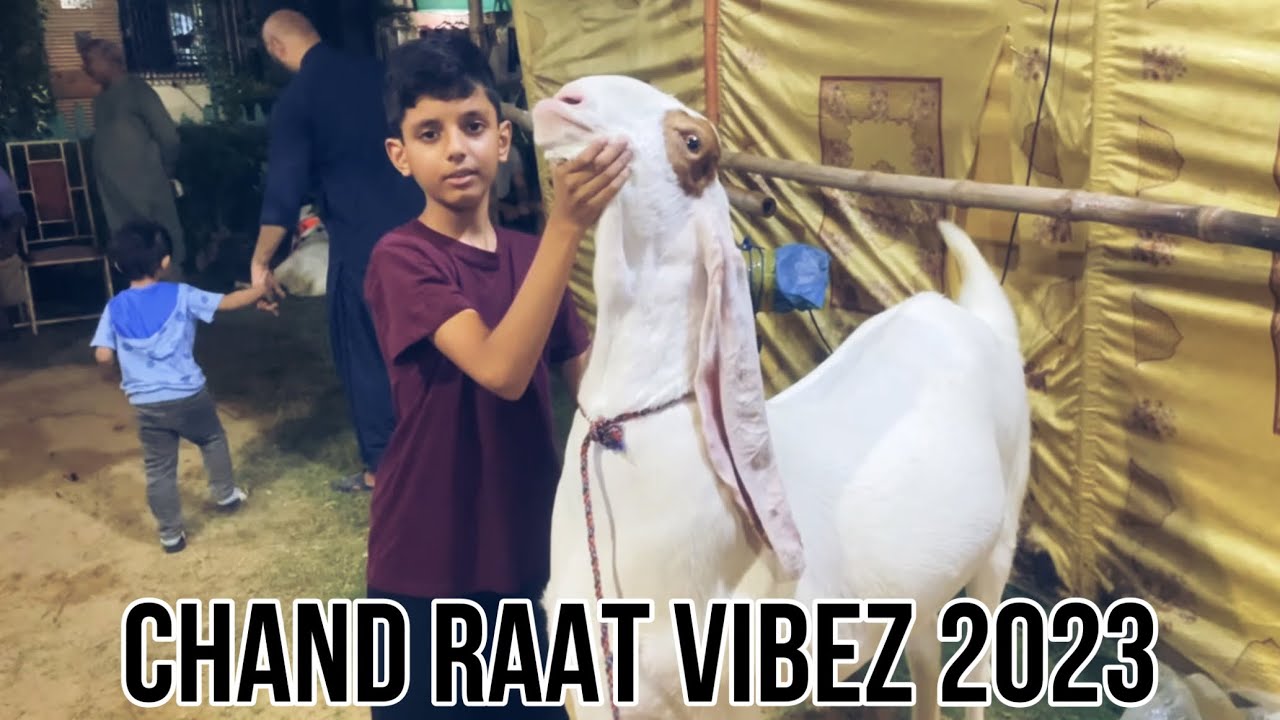 Chand Raat Vibez in Karachi ft. @Abdul-Sammi & Raja Bhai Kay Bakray
