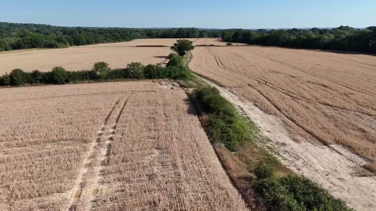 An aerial view of the wheat fields west of Ifield Brook Meadows in Ifield, Crawley, West Sussex