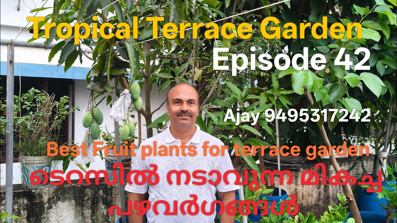 Episode 42 | Best Fruit Plants for Terrace Garden | Best Fruit Plants for Terrace Garden