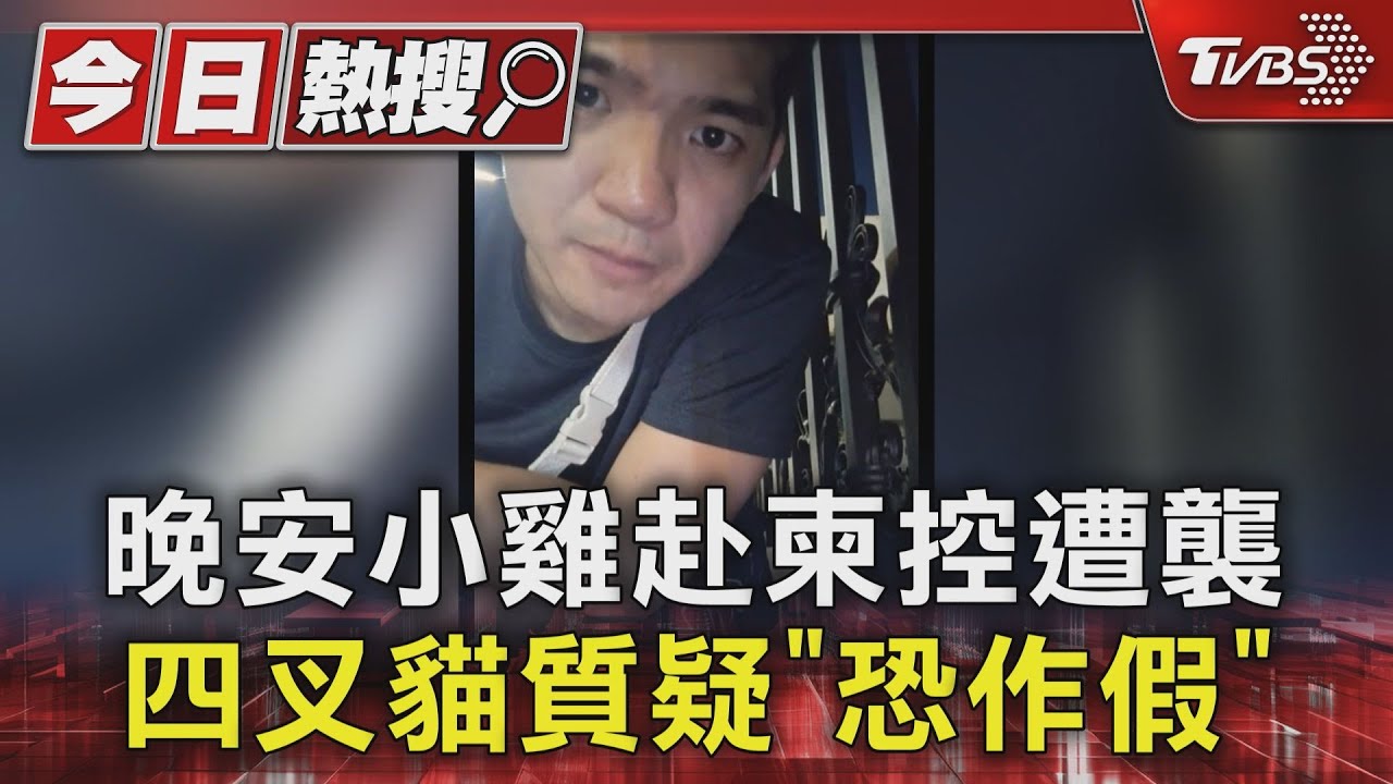 晚安小雞赴柬控遭襲 四叉貓質疑「恐作假」｜TVBS新聞 @TVBSNEWS01