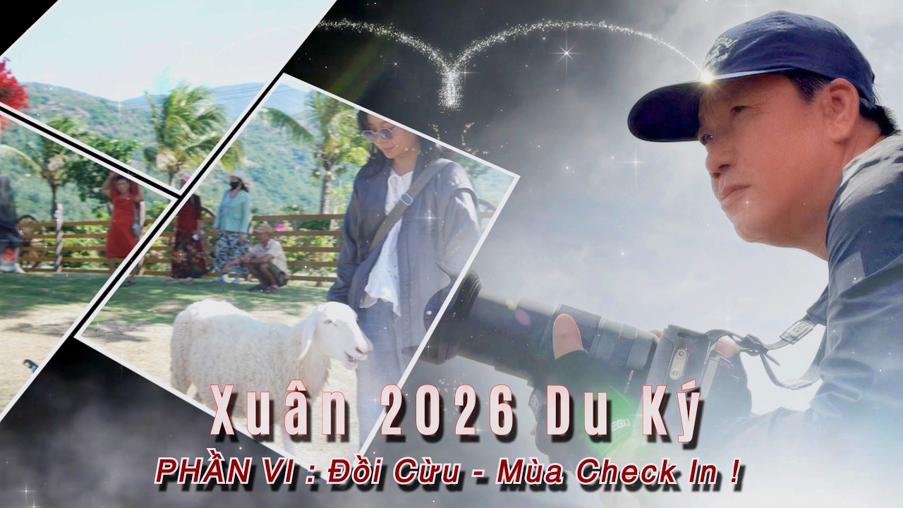 Xuân 2026 Du ký | Phần VI: Đồi Cừu - Mùa Check In !