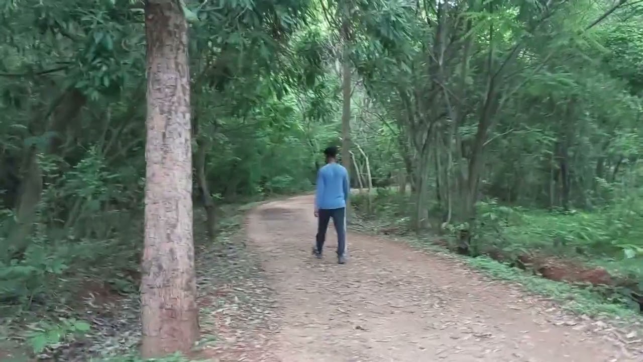 Lingambudhi park , Mysuru !!! Walk into the woods!!!