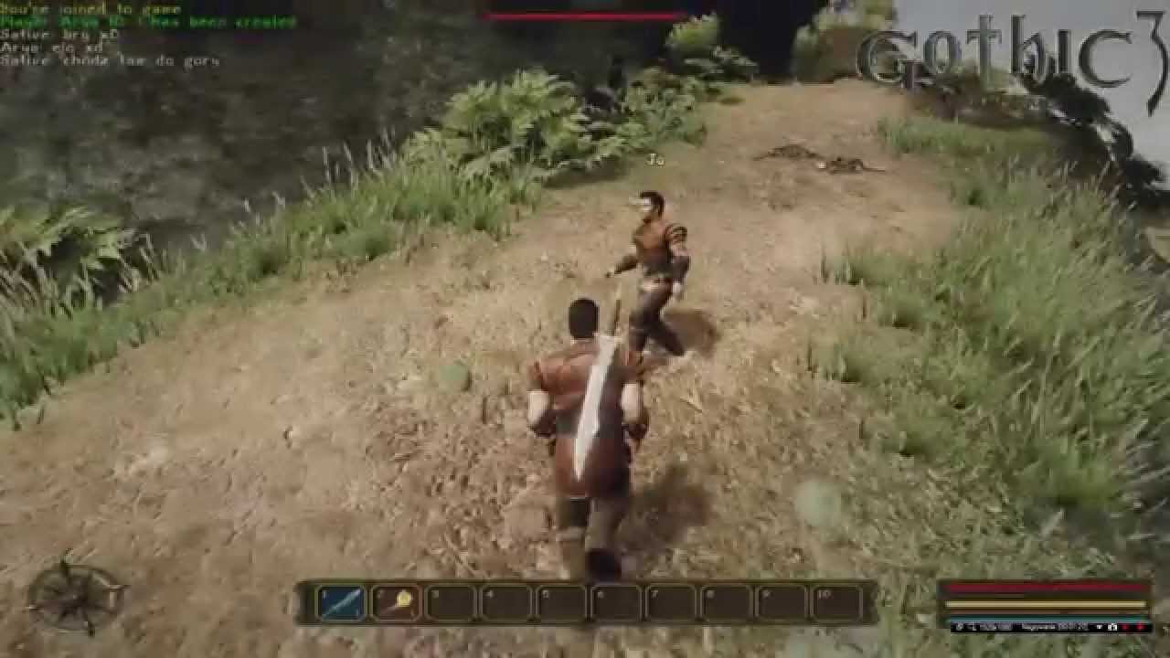 Gothic 3 Multiplayer?