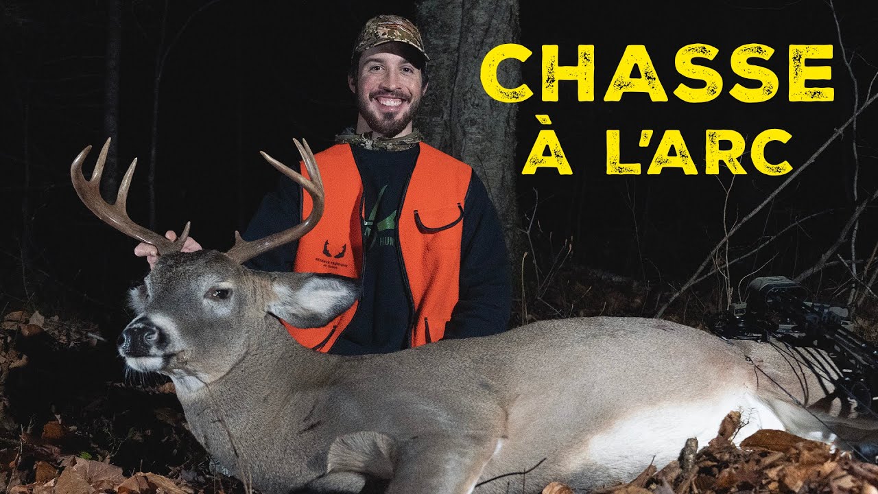 CHEVREUIL à l'ARC pendant la chasse au fusil!