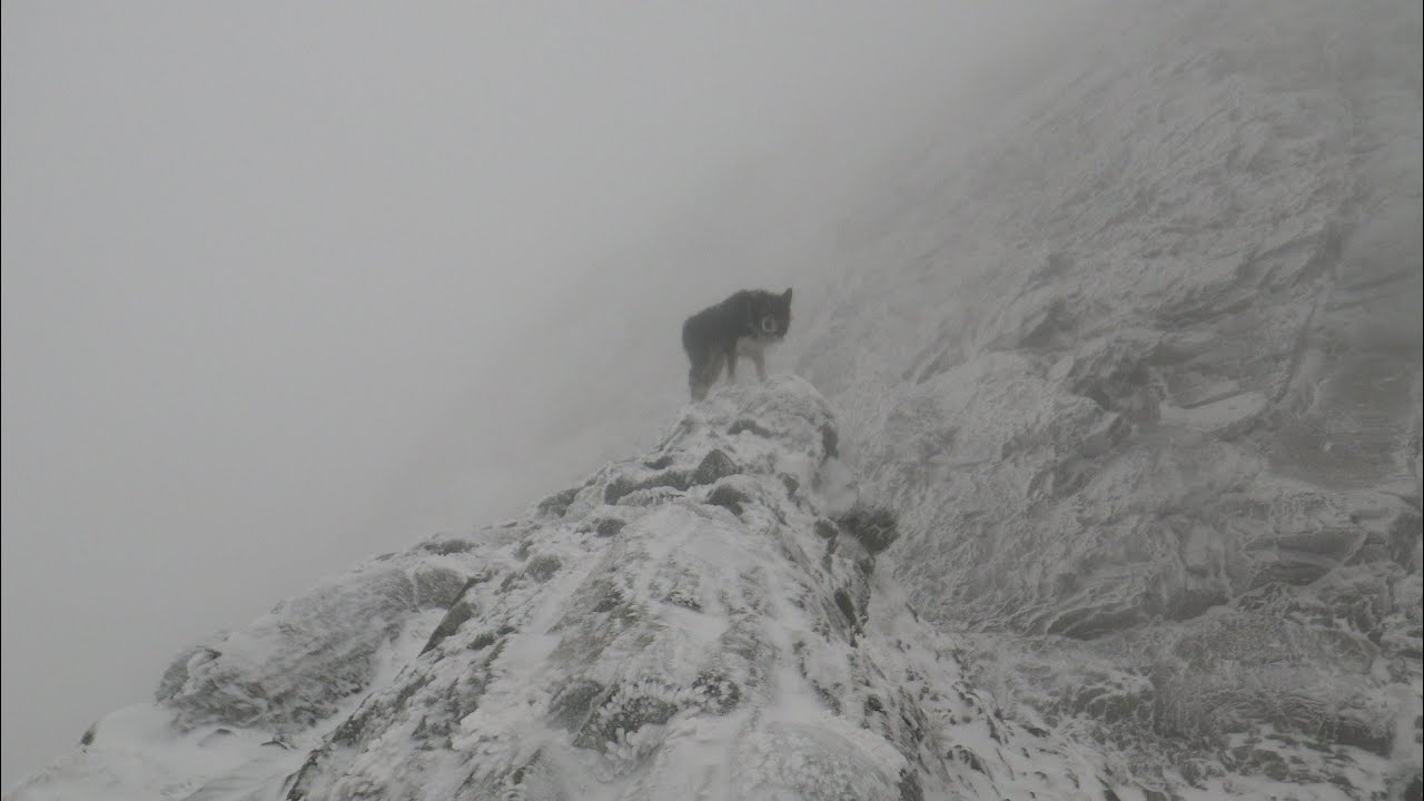 Sharp Edge, Blencathra, January 30th 2026