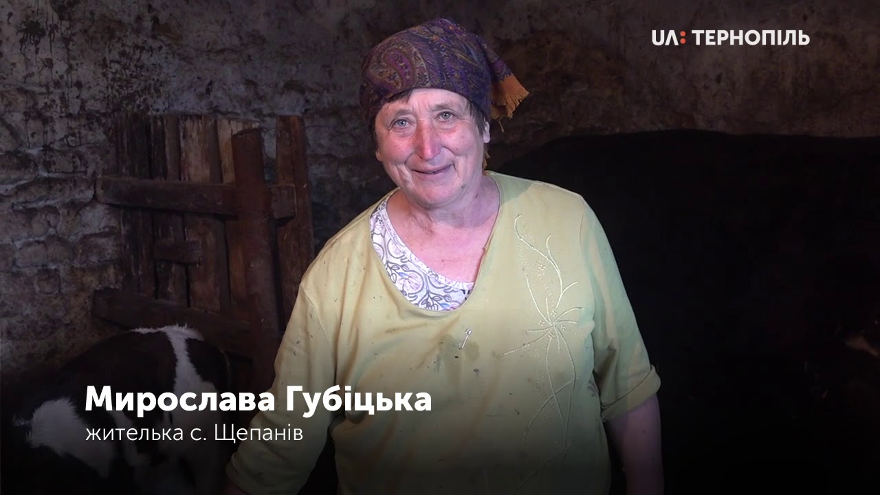 У селі Щепанів Козівського р-ну негодою пошкоджено господарки