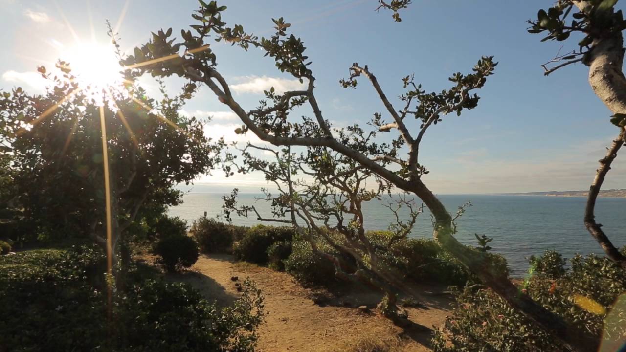 La Jolla Oceanfront Home Along the Torrey Pines Bluffs Offers Breathtaking Ocean & North Shore Views