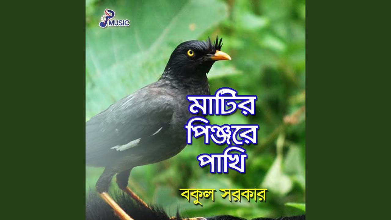 Achin Desher Sonar Pakhi