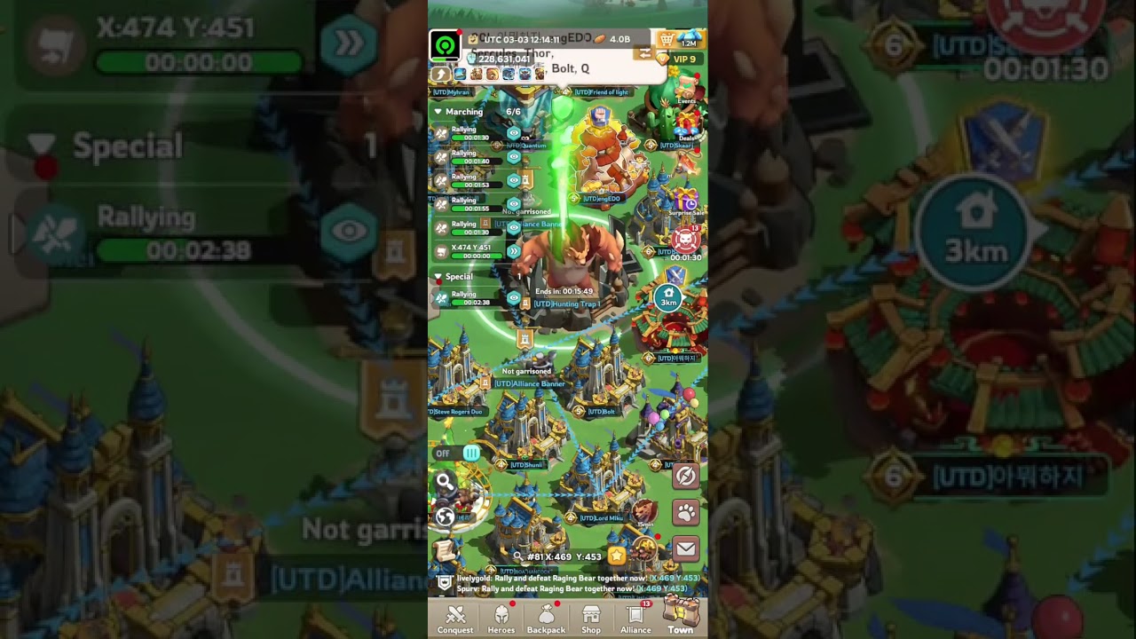 Bear #72 | 30.7 M - 38.0 M
