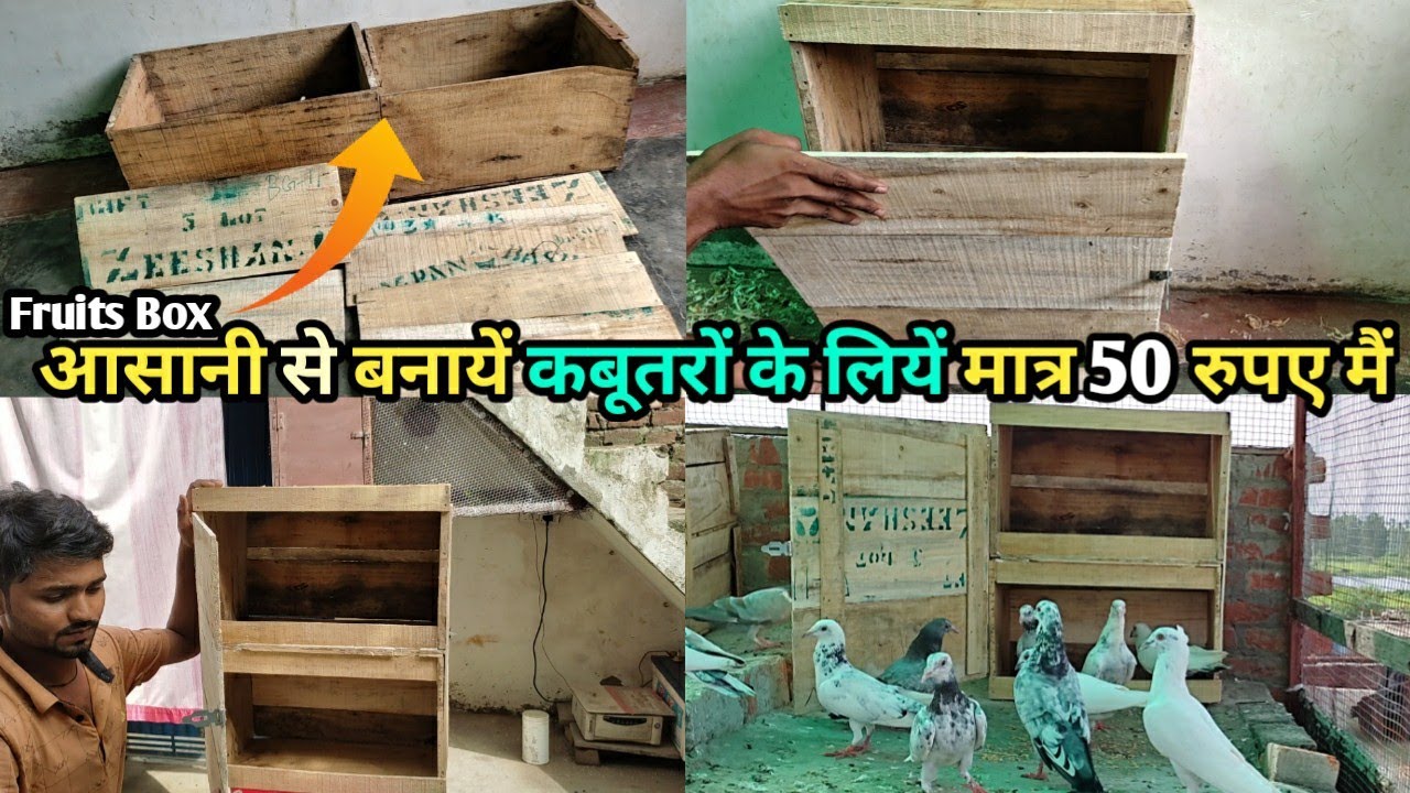 Make a setup for pigeons from a box of fruits | Pigeon Wooden Setup