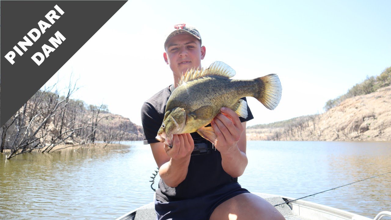 PINDARI DAM Golden Perch - codaddiction ep4
