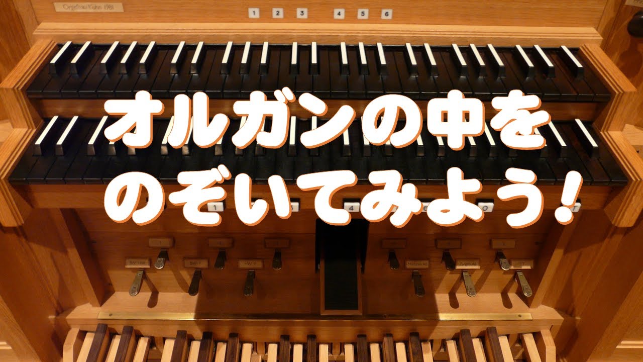 オルガンの中をのぞいてみよう！～宝塚市立文化施設ベガ・ホール～
