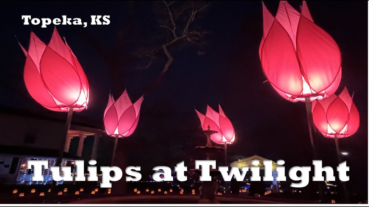 Tulips at Twilight – Topeka, KS: A 4K Spring Tour