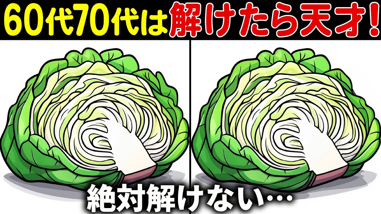 【全部見つけたら天才】60歳以上の高齢者向け難しい間違い探しクイズ【60代70代面白く楽しい脳トレで認知症予防】