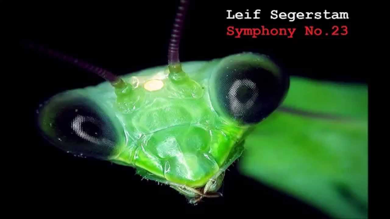Leif Segerstam | Symphony No.23 'Afterthoughts Questioning Questionings'