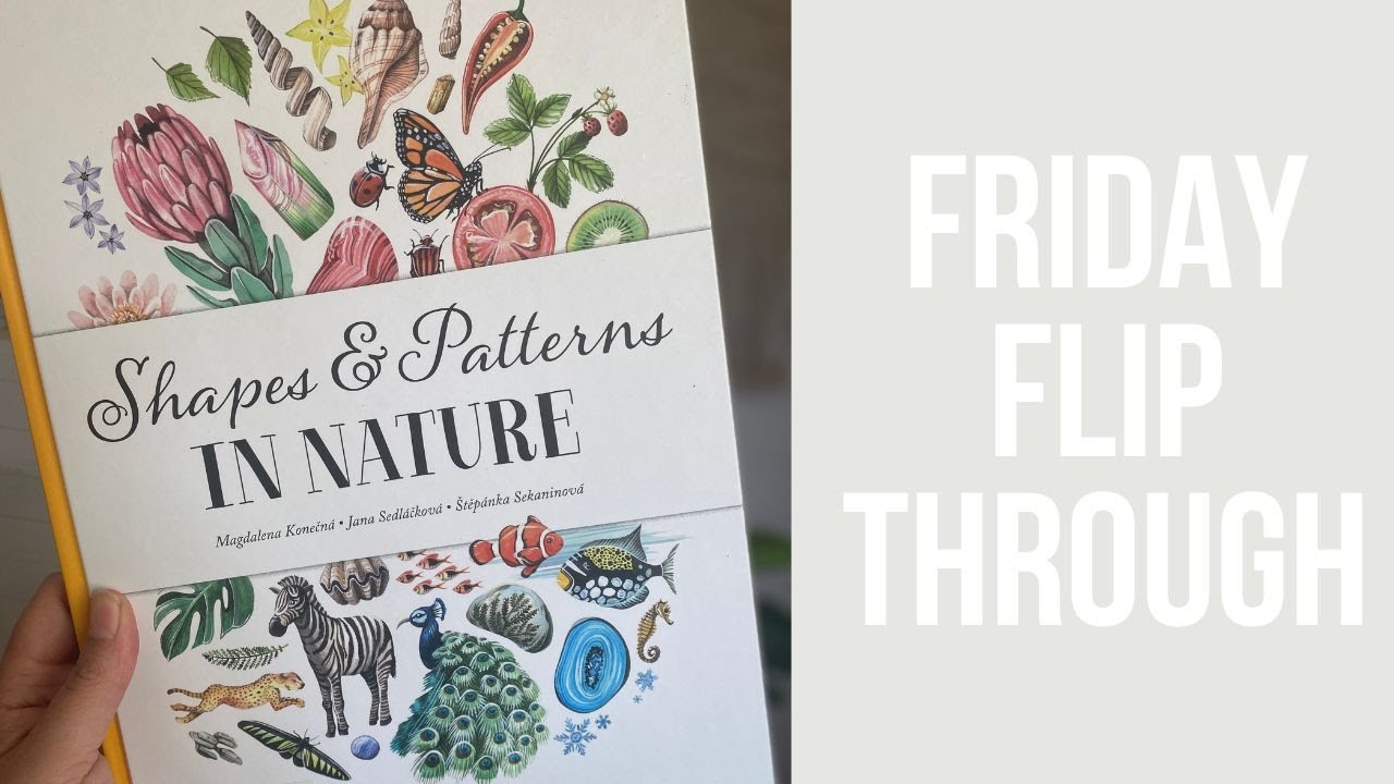 Shapes and patterns in nature | book flip through