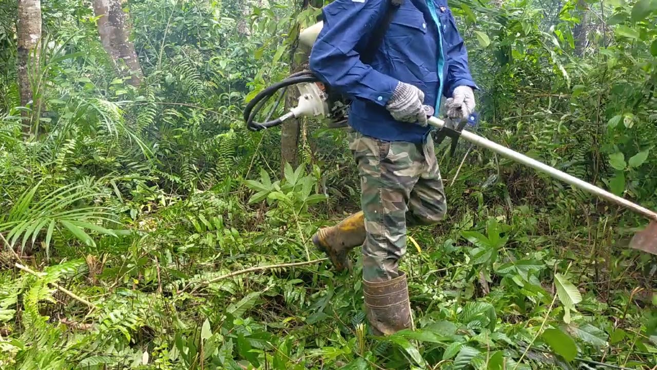 Potong rumput STIHL FR3001 mata pisau rumput