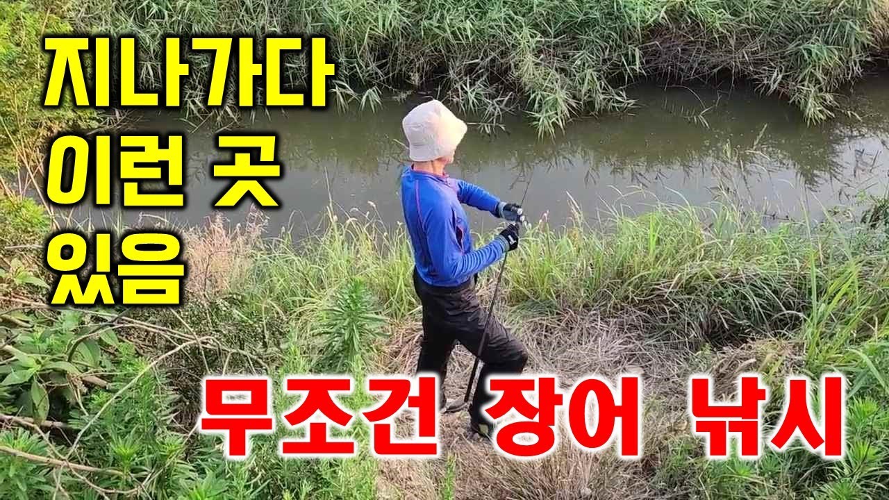 지나가나 이런 곳 있음 무조건 장어 낚시